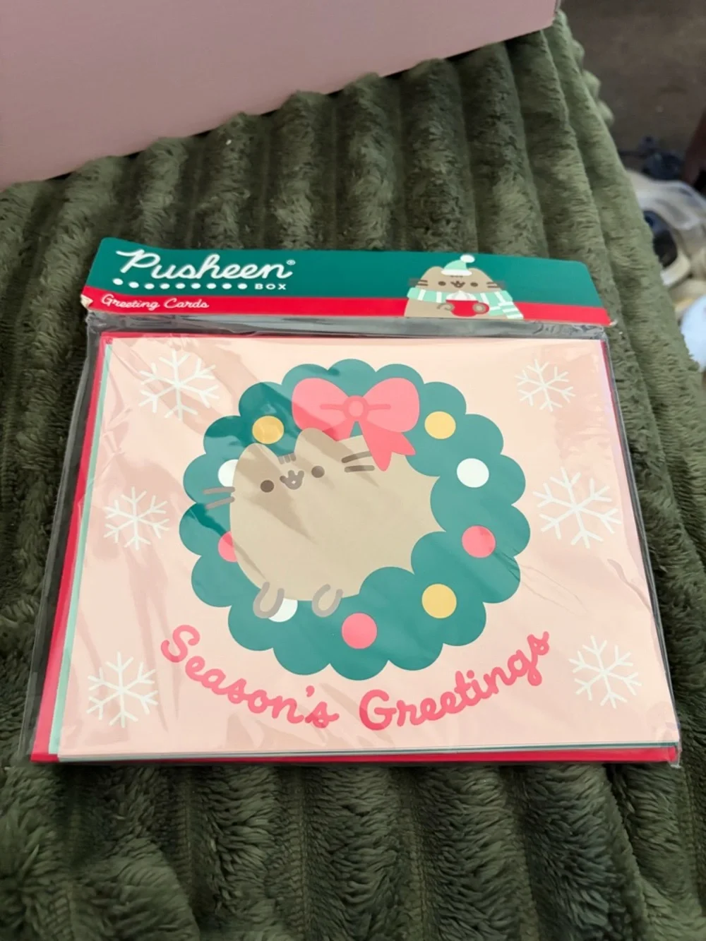 Pusheen 2026 Pet Box with 4 items never opened and 2 extra Pusheen goodies